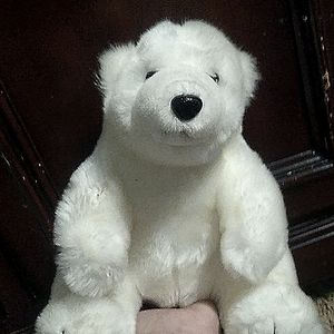 I'm selling my teddy that I've had my hole life❤️